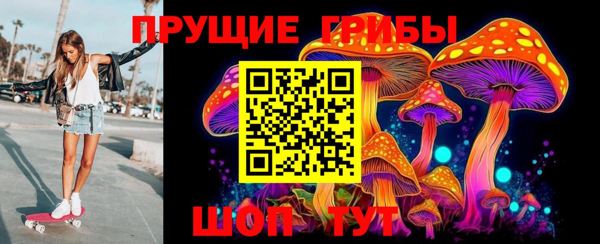 Верхняя Пышма  Галлюциногенные грибы GOLDEN TEACHER  Вход с VPN 